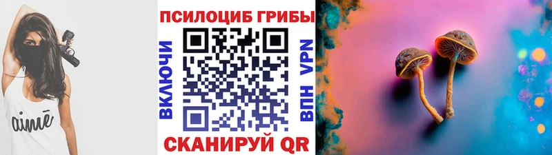 сколько стоит  Мглин  MEGA сайт  Галлюциногенные грибы прущие грибы 